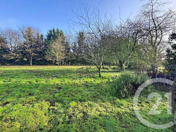 Maison à vendre  4 pièces - 78,73 m2 PRUNIERS EN SOLOGNE - 41