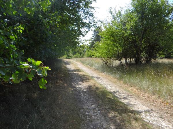 Petit Paradis ! (52)