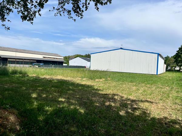 Entrepôt / local industriel Segre En Anjou Bleu 221 m2