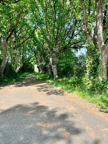 Entrepôt / local industriel Segre En Anjou Bleu 221 m2