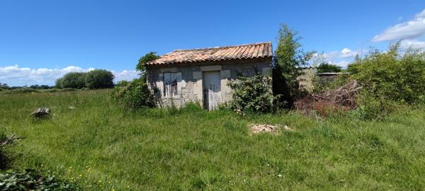 Maison à rénover à SAINT CIERS SUR GIRONDE (33820)