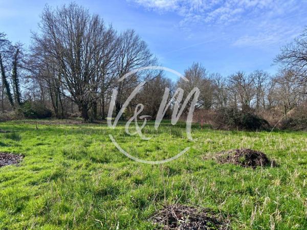 EXCLUSIVITE!! Terrain à vendre LANTON- Terrain constructible viabilisé de 2232 m² avec fort potentiel à Lanton proche centre et Bassin dans environnement calme LANTON CENTRE