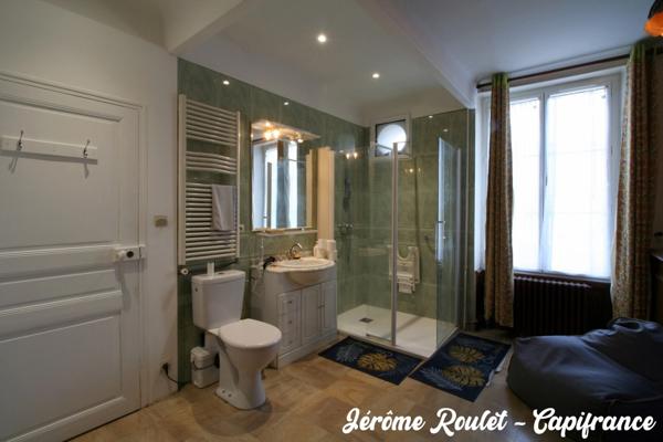 Dpt Vienne (86), à vendre Champigny-En-Rochereau maison P8 de 220 m² - Terrain de 1 017,00 m²