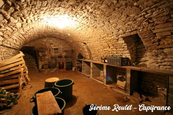 Dpt Vienne (86), à vendre Champigny-En-Rochereau maison P8 de 220 m² - Terrain de 1 017,00 m²