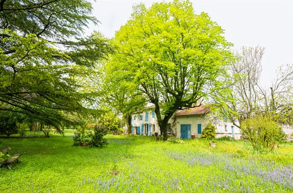 Châteaurenard (13160) Mas provençal 240 m2 sur 1ha de terrain avec piscine