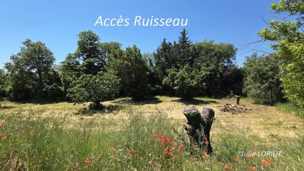 Terrain de loisirs au bord du ruisseau