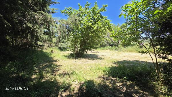 Terrain de loisirs au bord du ruisseau
