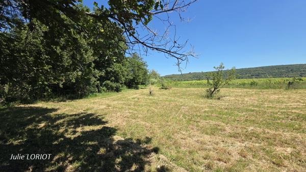 Terrain de loisirs au bord du ruisseau