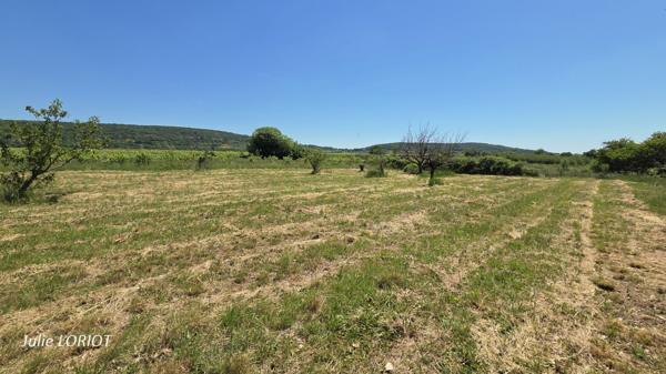 Terrain de loisirs au bord du ruisseau