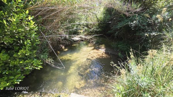 Terrain de loisirs au bord du ruisseau