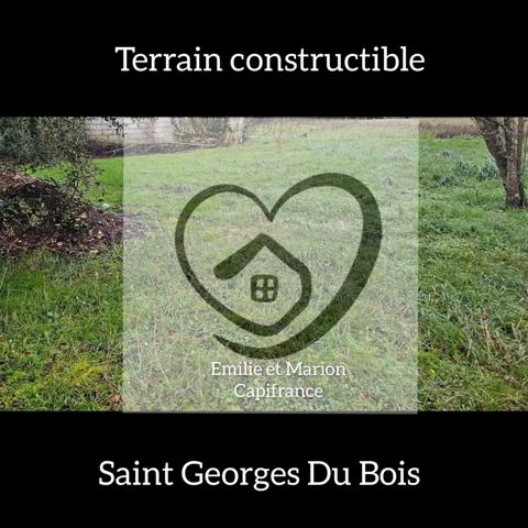 Terrain à vendre - parcelle 462 m2 - SAINT GEORGES DU BOIS (17)