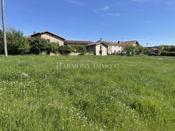 Ancienne Ferme de 247 m2 à tout aménager sur un terrain de 7000 m2.