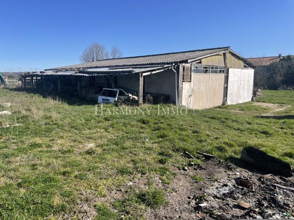 Ancienne Ferme de 247 m2 à tout aménager sur un terrain de 7000 m2.