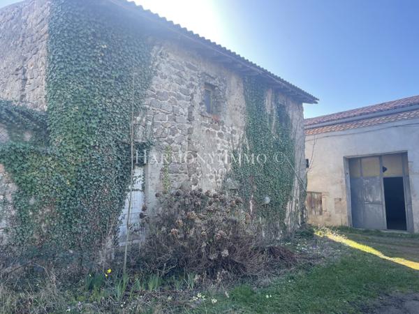 Ancienne Ferme de 247 m2 à tout aménager sur un terrain de 7000 m2.