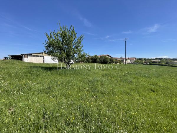 Ancienne Ferme de 247 m2 à tout aménager sur un terrain de 7000 m2.
