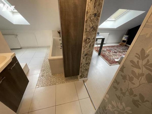MAISON de 100m² sans vis à vis au bord de la SARTHE au MANS