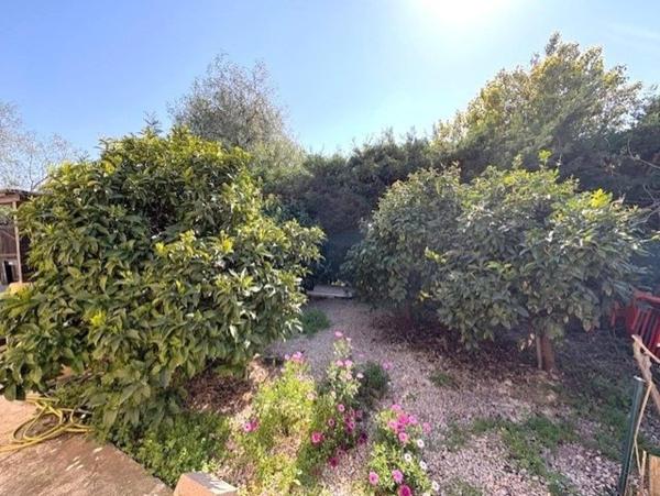 Superbe villa 4 faces – Plain pied – 117 m² – Terrain arboré 852 m² – Saint Cyprien