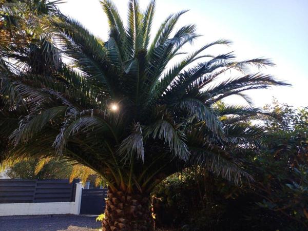 Maison à vendre à Guidel dans le Morbihan (56520), ref : 56091-7   
Locmaria