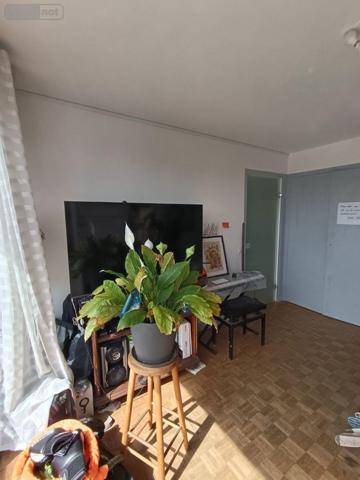 Appartement à louer à Caen dans le Calvados (14000), ref : L558   
RUE SAINT NORBERT