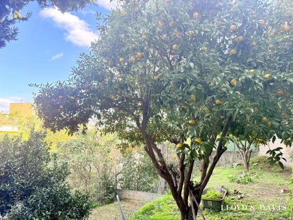 PROPRIETE DANS LA VILLE