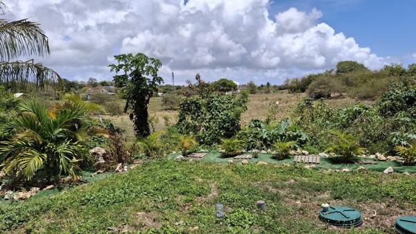 Maison à SAINTE ANNE (97180)