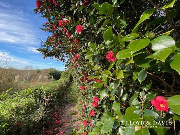 MAISON, DEPENDANCES et PARC ENCHANTEUR