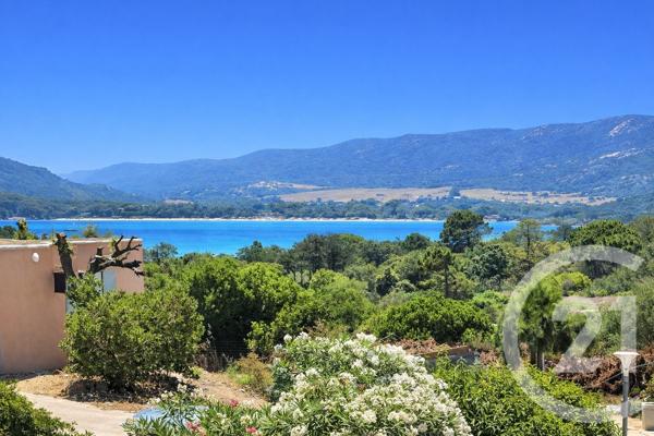 Maison à vendre  2 pièces - 37,57 m2 PORTO VECCHIO - 201