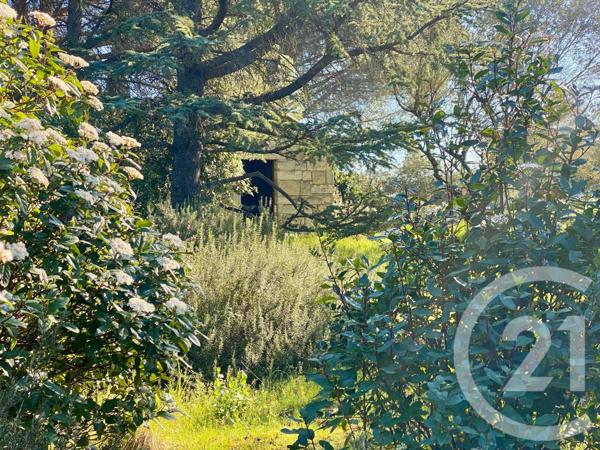 Maison à vendre  7 pièces - 267,93 m2 LUNEL - 34