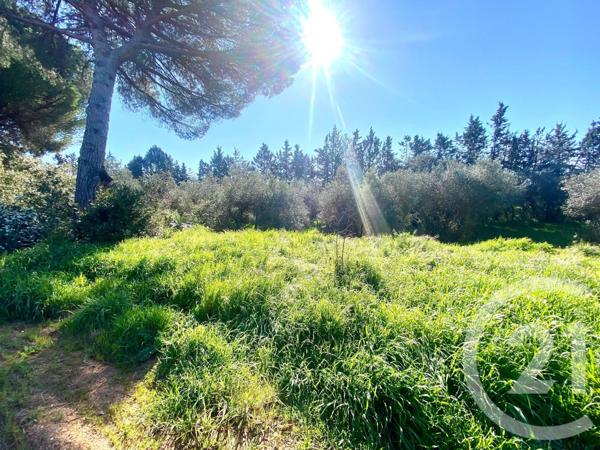 Maison à vendre  7 pièces - 267,93 m2 LUNEL - 34