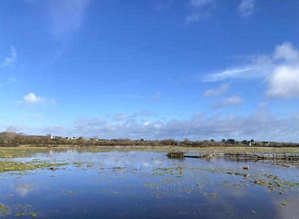 Maison à vendre à Séné avec vue sur le Golfe du Morbihan !
