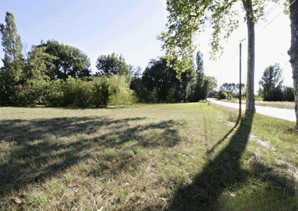 Terrain - 2861 m² Exclusivité efficity