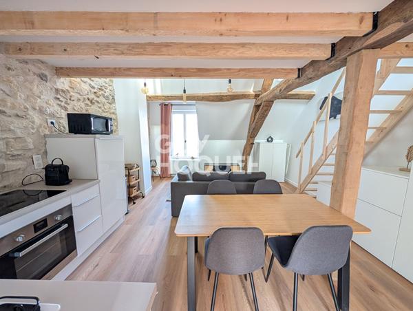 STUDIO MEUBLE avec mezzanine 31.3 m2