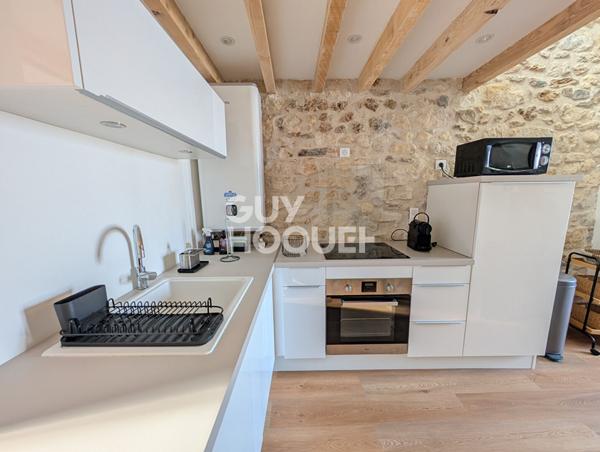 STUDIO MEUBLE avec mezzanine 31.3 m2