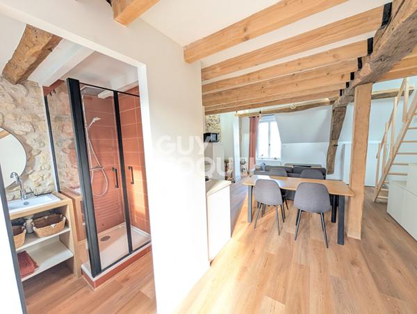 STUDIO MEUBLE avec mezzanine 31.3 m2