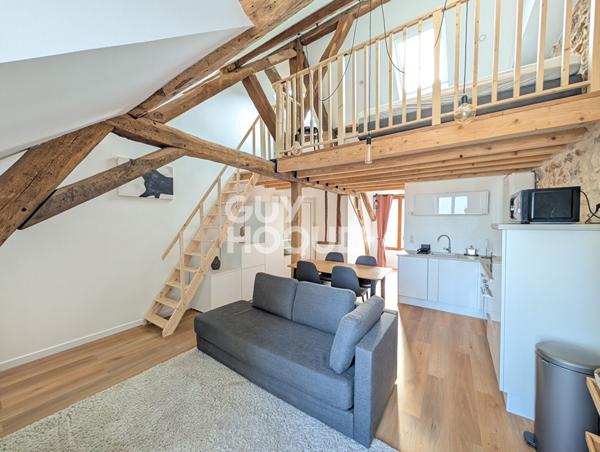 STUDIO MEUBLE avec mezzanine 31.3 m2