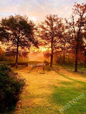Cadre privilégié pour cette maison de plain-pied avec piscine !