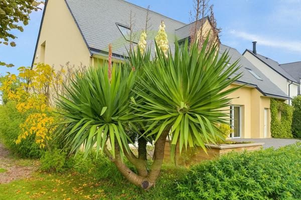 Maison à SAINT JEAN LE THOMAS (50530)