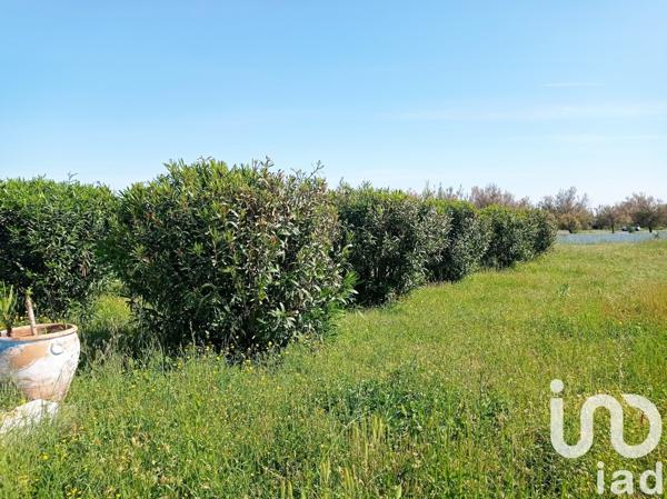 Maison à vendre 36 pièces 400 m² Marseillan
