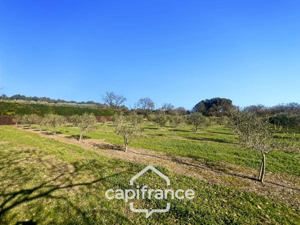 LAMBESC – Vente à terme libre – Propriété de plain-pied au cœur de la nature provençale