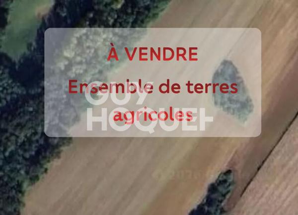 Terrain À Vendre. Terres agricoles