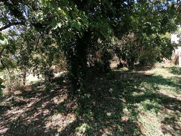 Carmaux, Terrain de 555 m²