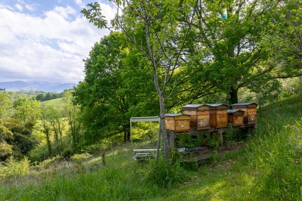 Pau - Pyrénées-Atlantiques - Propriété de 450m2 avec forêt de 20 ha.