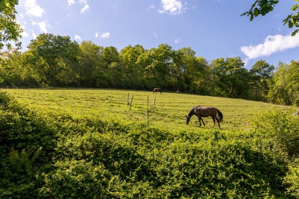 Pau - Pyrénées-Atlantiques - Propriété de 450m2 avec forêt de 20 ha.