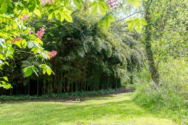 Pau - Pyrénées-Atlantiques - Propriété de 450m2 avec forêt de 20 ha.
