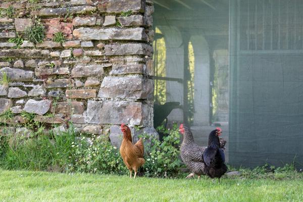 Pau - Pyrénées-Atlantiques - Propriété de 450m2 avec forêt de 20 ha.