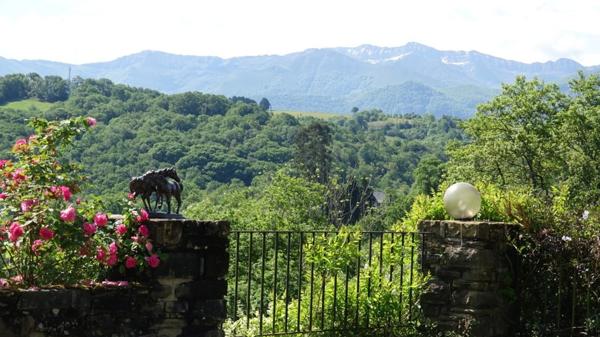 Pau - Pyrénées-Atlantiques - Propriété de 450m2 avec forêt de 20 ha.