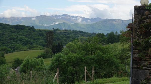 Pau - Pyrénées-Atlantiques - Propriété de 450m2 avec forêt de 20 ha.