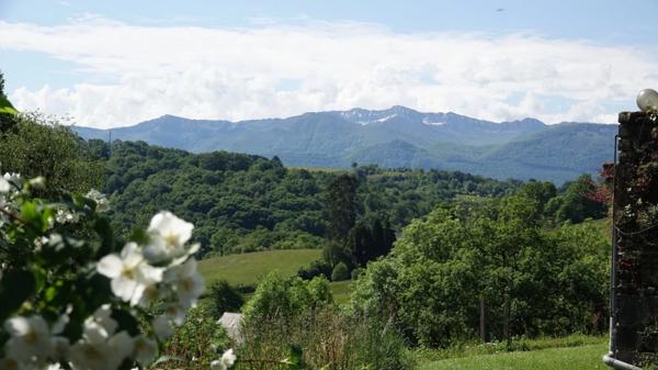 Pau - Pyrénées-Atlantiques - Propriété de 450m2 avec forêt de 20 ha.
