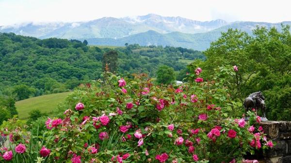 Pau - Pyrénées-Atlantiques - Propriété de 450m2 avec forêt de 20 ha.