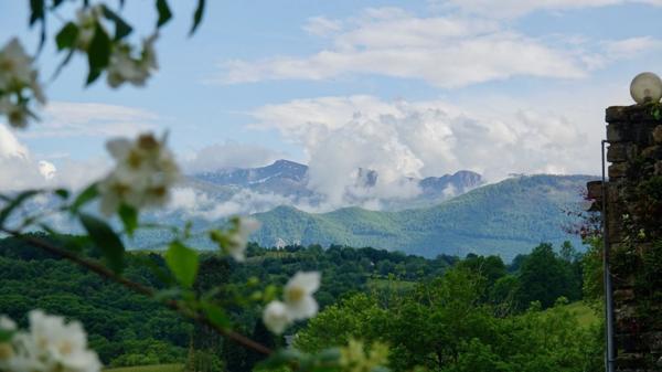 Pau - Pyrénées-Atlantiques - Propriété de 450m2 avec forêt de 20 ha.
